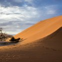NAM HAR Dune45 2016NOV21 051 : 2016 - African Adventures, Hardap, Namibia, Southern, Africa, Dune 45, 2016, November